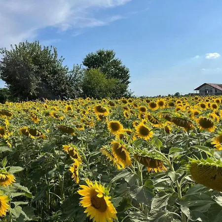 Dom wakacyjny Kalos Campobello di Licata